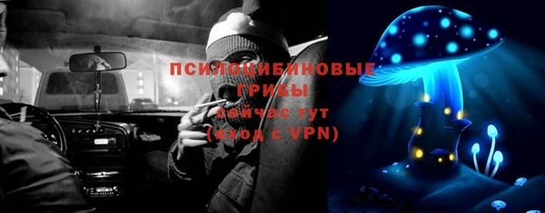 apvp Алексеевка
