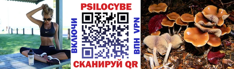 Псилоцибиновые грибы мухоморы  Ковров 
